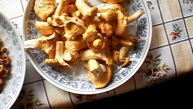 Лисички грибы, сушка смотреть онлайн