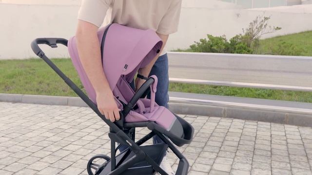 Stroll With Сarrello Alfa CRL-5508
