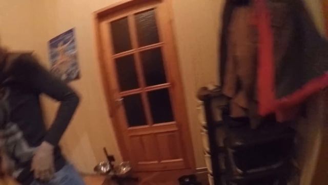 Щенок маламут Майк нашкодил дома пока был один/ Malamute puppy alone at home смотреть онлайн