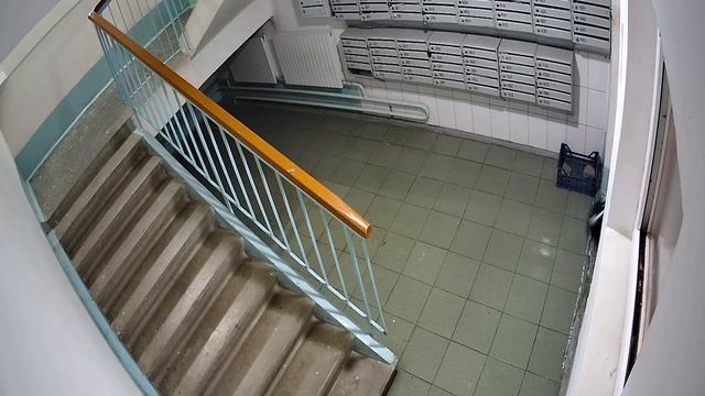 6 под лестница 2022.02.11 04 00 10 00 смотреть онлайн