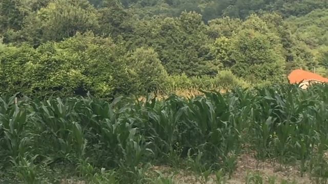 Via Postumia - Scorci di tappa Serravalle Scrivia-Genova смотреть онлайн