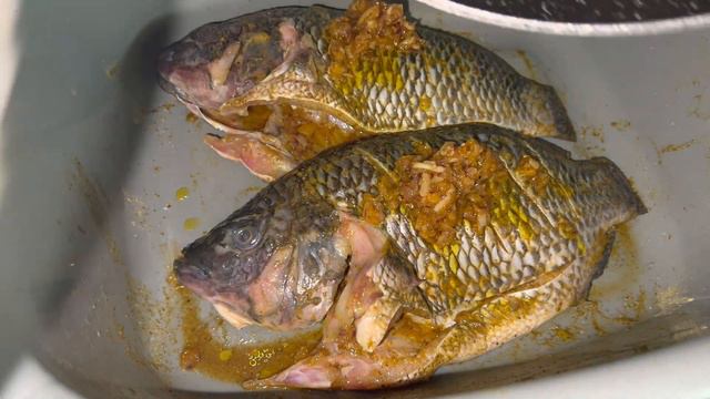 RECETTE POISSON TILAPIA #TILAPIA BRAISE! MEILLEURE ASSAISONNEMENT POUR POISSON #TILAPIA смотреть онлайн