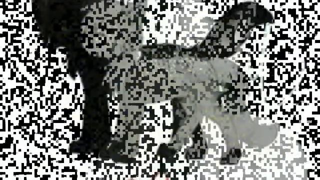 Бич и Кровоцапка моя любовь смотреть онлайн