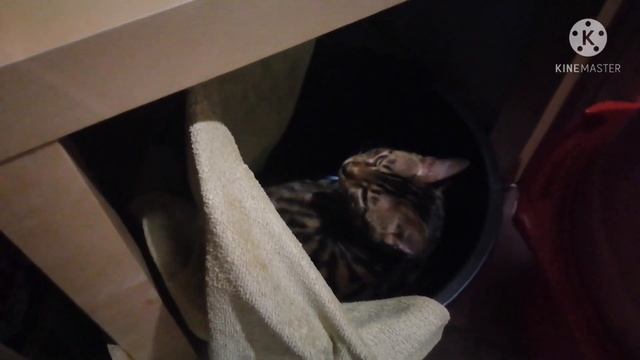 Готовлю обед. Работаю пастухом. смотреть онлайн