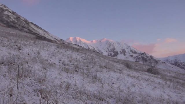 My First Sitka Blacktail - 4 Deer Down - Kodiak Island Deer Hunting смотреть онлайн