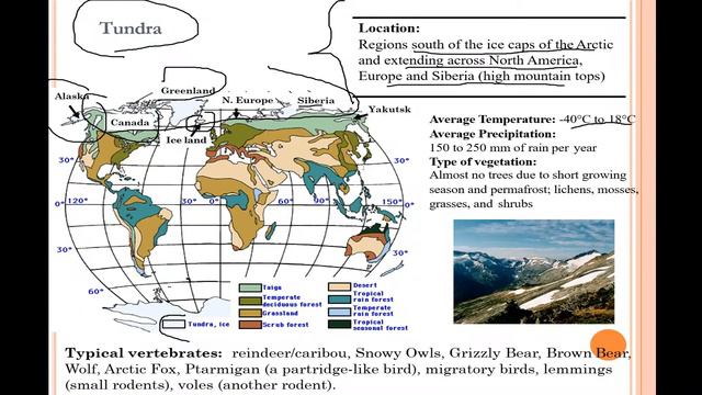 Temperate Habitats, Taiga, Tundra & Deserts| Explained| Environmental Biotechnology смотреть онлайн
