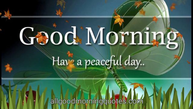 Good Morning Love Status for WhatsApp | Romantic Good Morning for Him and Her смотреть онлайн