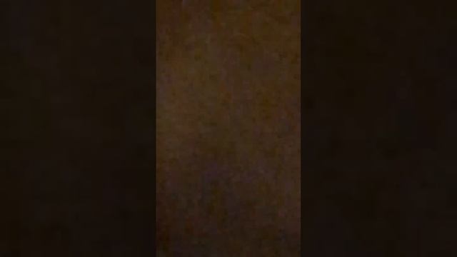 Мой пес#мойпес#врек#хочуврекомендации#собаки#другчеловека смотреть онлайн