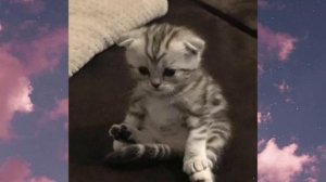 Руслан Утюг - НУ КОГДА Я ПЕРЕСТАНУ БЫТЬ МАГНИТОМ... (speed up)