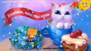 Лучше Кошки Зверя нет Весёлая песенка#кошка
