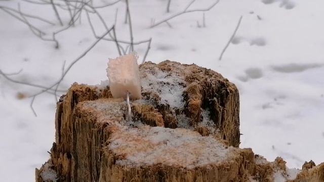 Звуки природы. смотреть онлайн