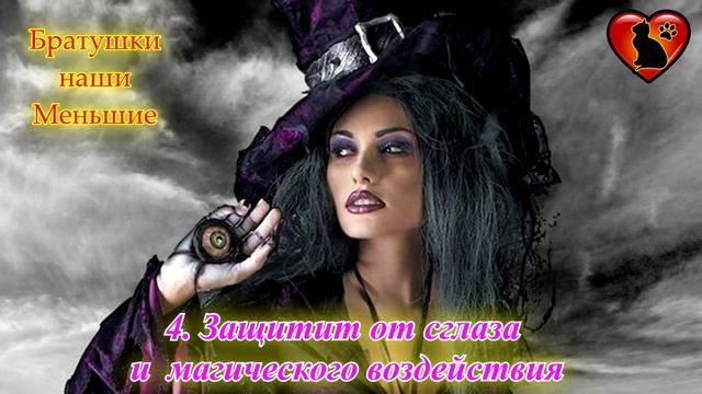 8 Причин Завести Чёрного Кота Вопреки Суевериям! Чёрный кот приносит богатство и защищает дом! смотреть онлайн