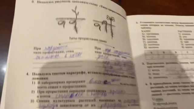 Биология/6 класс/Исаева/Рабочая тетрадь/Всхожесть семян/стр.19/22.11.20 смотреть онлайн