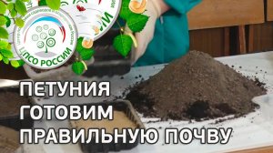 Как приготовить грунт для рассады цветов петуния. Подготовка грунта для посева петунии.