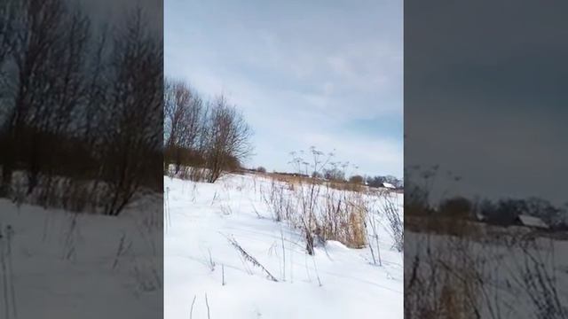 В поисках…(смотреть комментарии) смотреть онлайн