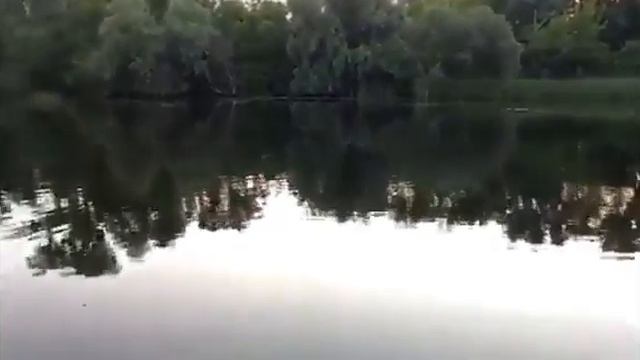 Рыбалка и отдых июнь 2020 река Днепр ч.2 смотреть онлайн