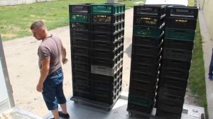 Доставка суточной птицы по маршруту Россошь - Татарстан.mp4