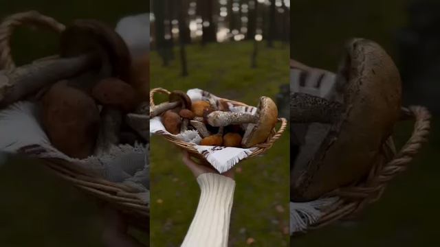 Осенний лес, корзина с грибами смотреть онлайн