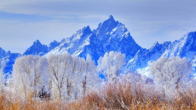 Wonder Music - Elimination