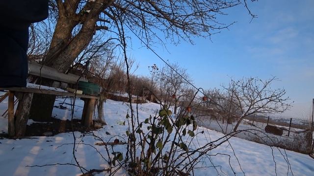 Обзор дома, Не видно конца ОГОРОДА) Укусила собака...