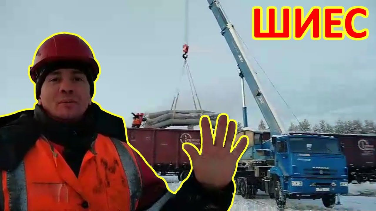 Смотреть всем! Рабочие в лагере активистов смотреть онлайн