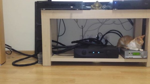 Kef Reference 203xl playing ambient music