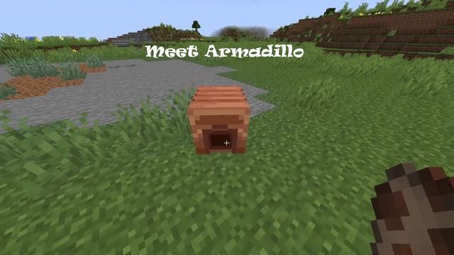 Armadillo WON The Minecraft Live Mob Vote 2023 ! смотреть онлайн