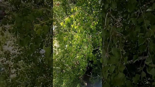 сон при температуре 40 градусов градусов смотреть онлайн