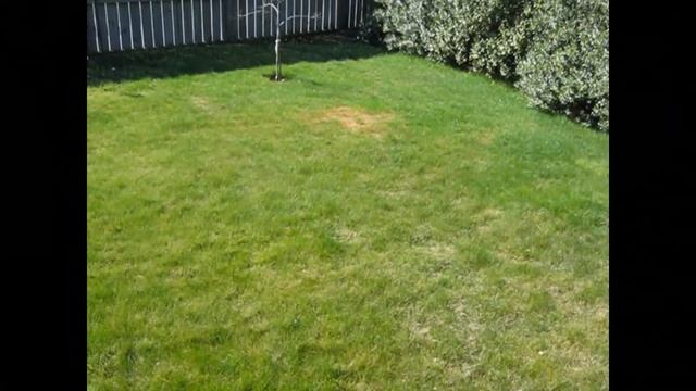 Canon PowerShot A495