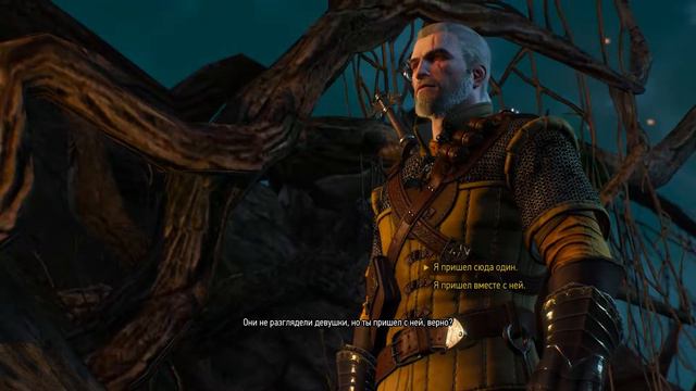 The Witcher 3: Имлерих за 23 секунды (Strongest build) (Самый сильный билд) NG+ смотреть онлайн