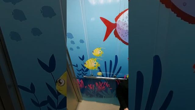 Лифт в поликлинике смотреть онлайн