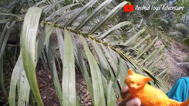 Find lion, wolf, elephant, tiger, giraffe in oil palm plantation смотреть онлайн