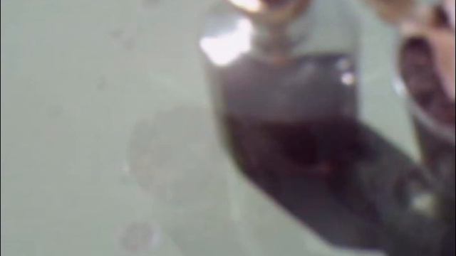 Black Walnut Tree Allelopathy Experiment Video смотреть онлайн