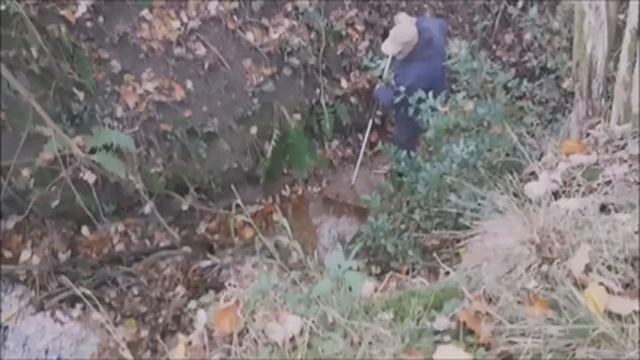 Away to the Wood 9 | October mushrooms смотреть онлайн