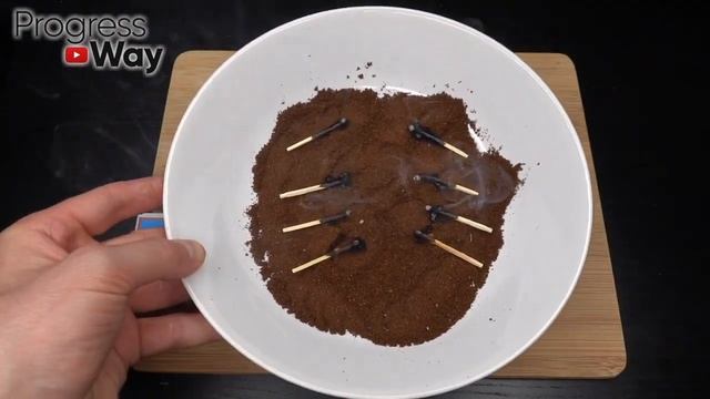 Комары исчезают сразу за 1 минуту навсегда! 6 Лучших бесплатных органических рецептов! смотреть онлайн