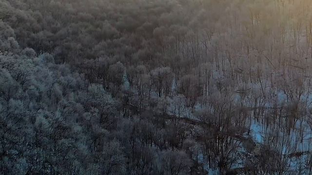 Relaxing Sleep Music for Stress Relief, Sleeping & Meditation | Relaxing Music Chillout смотреть онлайн