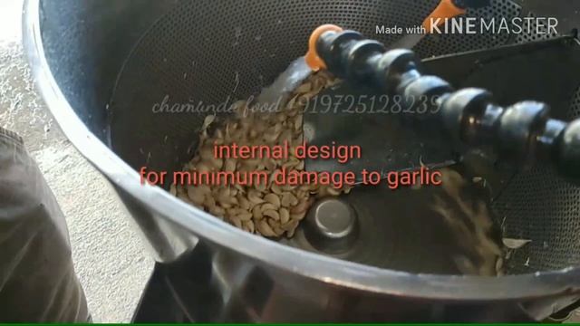 Wet Garlic Peeler Machine Mini Garlic Peeler Plant / Lashun Chilne Ki Machine / Dry Garlic Peeler