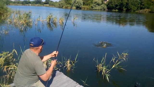 Июльский карп ловля в жару смотреть онлайн