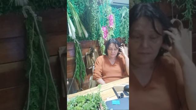 Suculentas Pendente Para Meia Sambra смотреть онлайн