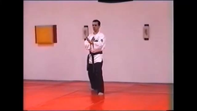 KUMITE POINT First Contact System Vid. 1 смотреть онлайн