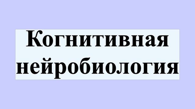 Когнитивная нейробиология смотреть онлайн