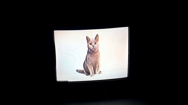 [Funkdela Catalogue Vol 2] Reunion TEASER