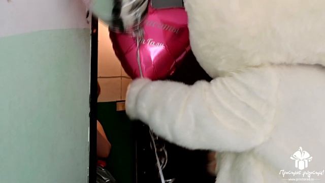 Поздравление с Днём Рождения жены от ростового героя КОТИКА! © Простые Радости смотреть онлайн