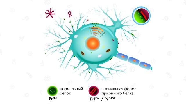 Необычные формы жизни. Прионы и вироиды. Лекция из курса "Биология как наука" смотреть онлайн