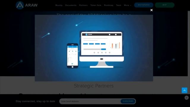 Обзор ICO: The ARAW Token . удобная оплата в магазинах с помощью крипты смотреть онлайн