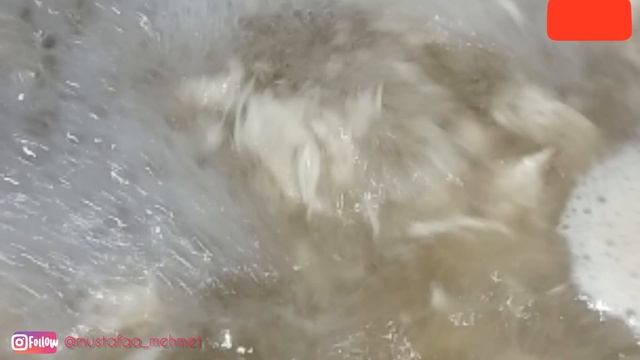 Instant Chicken Soup For Cold And Flu |Ready In Just 5 Min