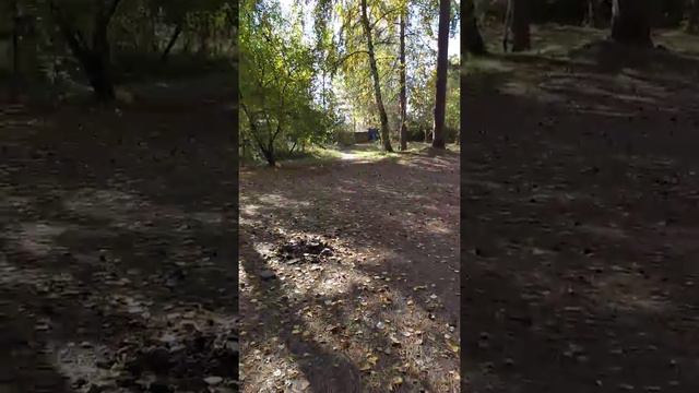 У Моря Обьского. Ребятки из 5 класса приехали помочь. смотреть онлайн