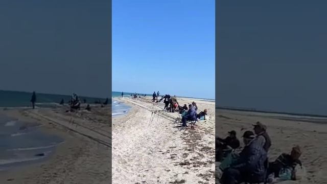 Рыбалка на Бакальской косе смотреть онлайн