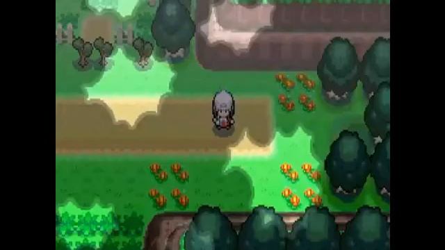 POJO STALIN #3 смотреть онлайн