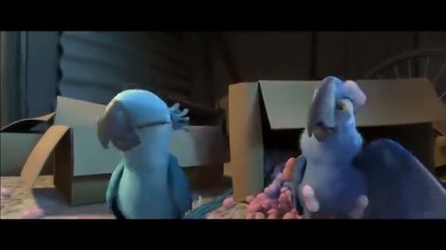 Angry Birds RIO teaser.flv смотреть онлайн